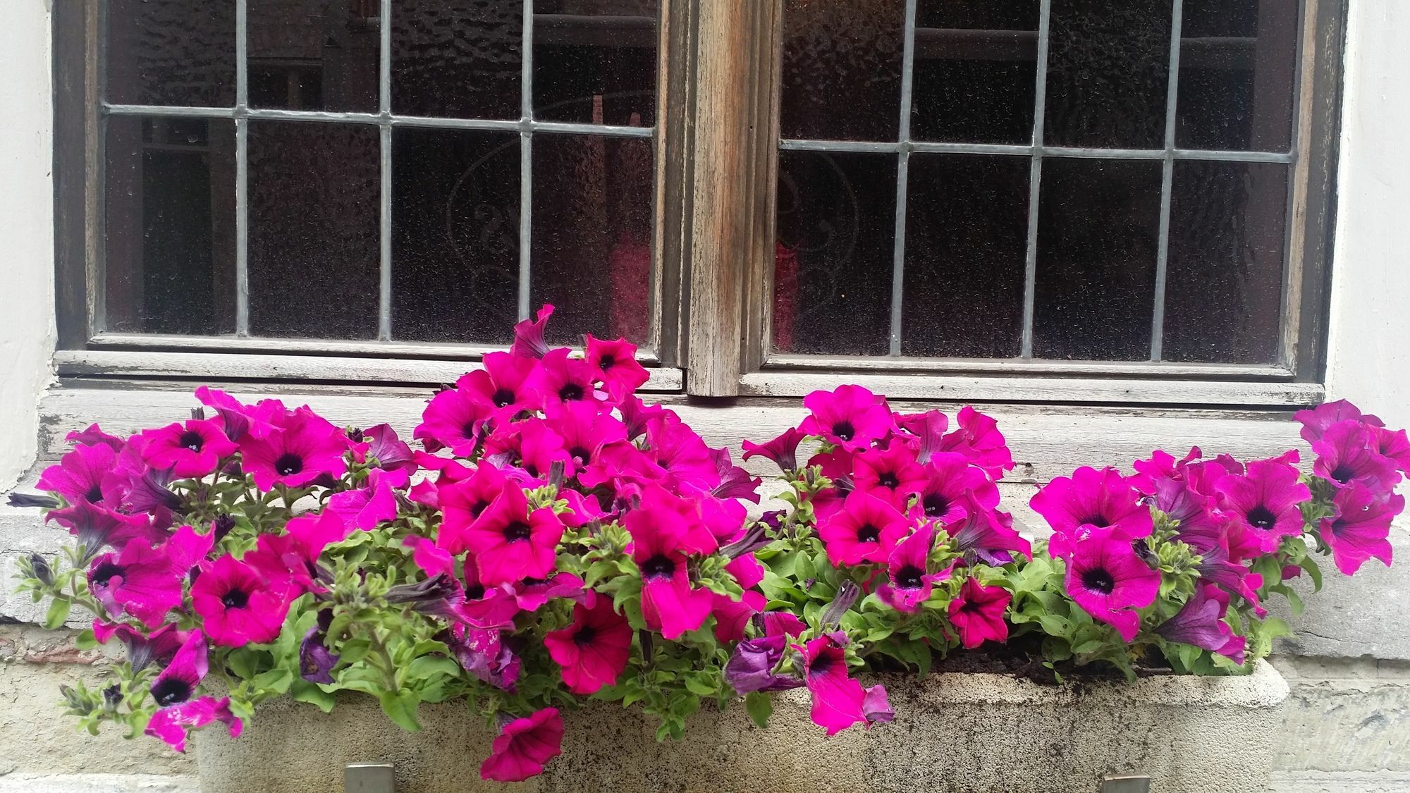 ホテル Cour St Georges ヘント エクステリア 写真